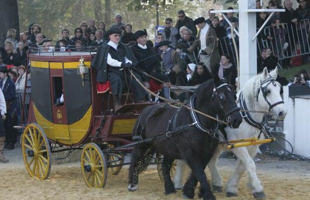  Location de calèche, mariage, jour mémorable